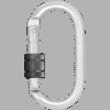 STAHL-KARABINER MIT SCHRAUBVERSCHLUSS - KEYLOCK VERSION